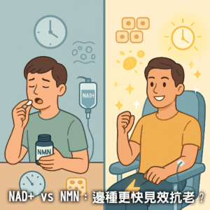 NAD+ 與 NMN 抗老化比較示意圖｜都市女性選擇口服補充與靜脈注射的差異DripHydrationHK